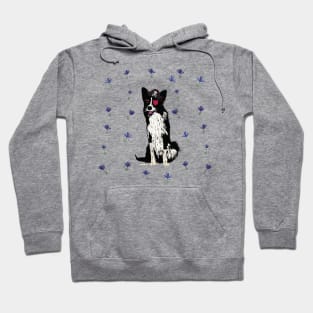 Collie Pirate Hoodie